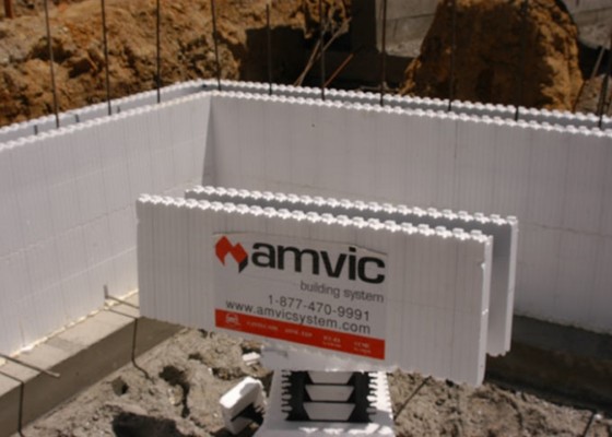 AMVIC INC