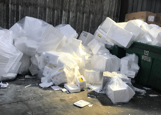 polystyrene-recycling-wastefoam-220725