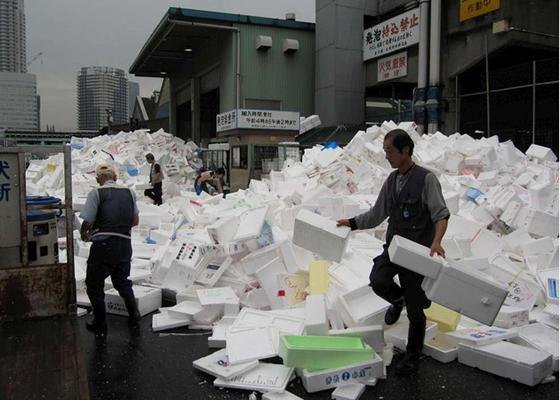 japan-moving-eps-packaging-560x400